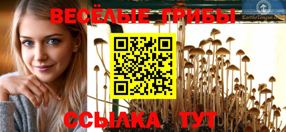 Псилоцибиновые грибы мухоморы  Галлюциногенные грибы ЛСД  Нурлат  Вход с VPN 